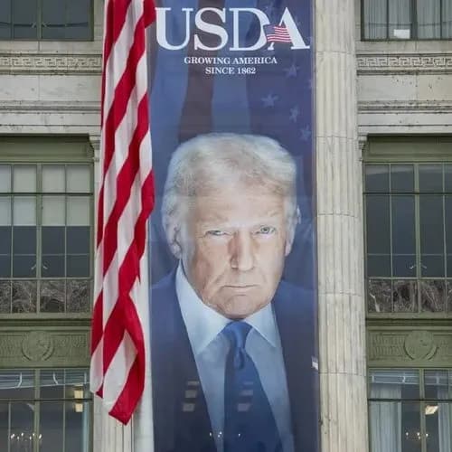 【悲報】アメリカさん、国中トランプだらけのガチでディストピアになってしまうｗｗｗｗｗｗｗｗｗｗ