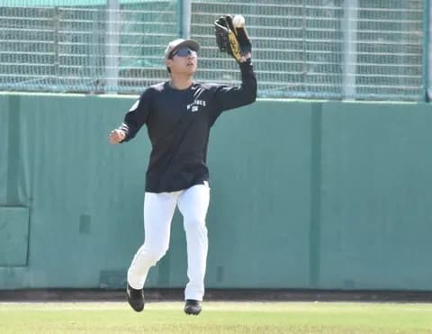 ロッテ、長島・富山・藤田の3選手をBCリーグの千葉スカイセイラーズに派遣