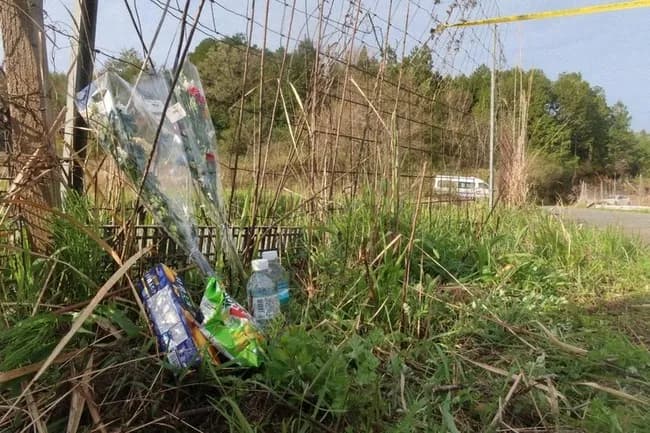 京都の遺体発見ってやつさ