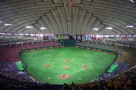 プロ野球の応援団って何者？
