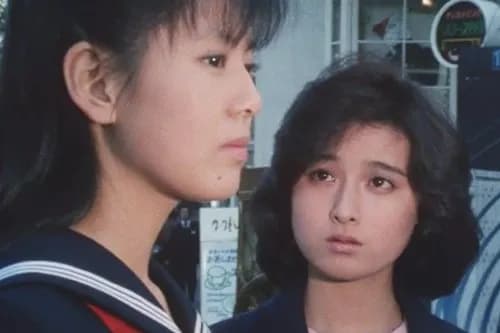 【悲報】昭和アイドルさんの元夫、揃って3度目の逮捕　なおポケモンカード3枚を偽造札束で騙し取った模様ｗｗｗｗｗｗｗｗｗｗ