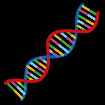 逆に何でワイの子供産みたくないの？