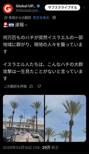 【朗報】ハチが大量発生しイスラエルを襲ってしまうｗｗｗｗｗｗｗｗｗｗ