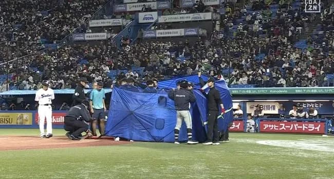 ヤクルト・オスナのバットがすっぽ抜け、球審の頭部に当たるアクシデント　担架で退場、球場騒然