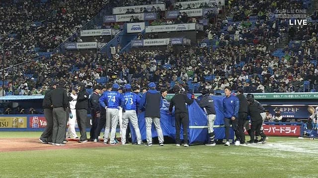 ヤクルト・オスナ、フルスイング放り投げバットが球審の頭に直撃…　倒れて担架で運ばれる