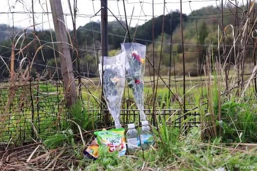 【悲報】京都府南丹市の山林さん、大量の供え物でガチのゴミ捨て場と化してしまう・・・・・・・・・