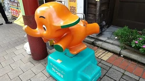 【衝撃】「悲惨な死に方をしたゾウ」ランキングさん、とんでもない結果になってしまうｗｗｗｗｗｗｗｗｗｗ