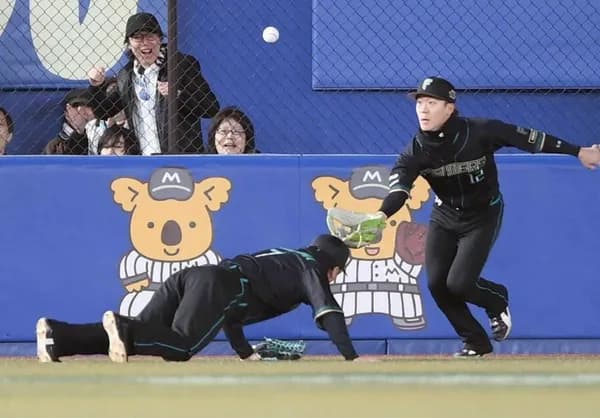 日本ハムファイターズ、エラー数とホームラン数が群を抜いている