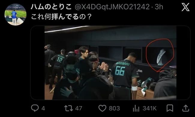 【悲報】日ハムの選手、ベンチでなんか拝んでるっぽい