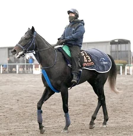 皐月賞　外から差すには厳しい馬場状態