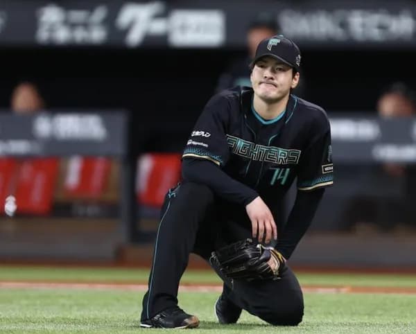 日本ハムファイターズが今季苦戦してる理由