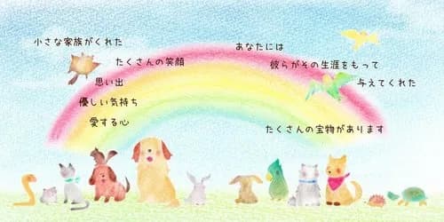 【悲報】新入社員さん「昨年祖母が虹の橋を渡りまして」ワイ（ペットの話か？）ｗｗｗｗｗｗｗｗｗｗ