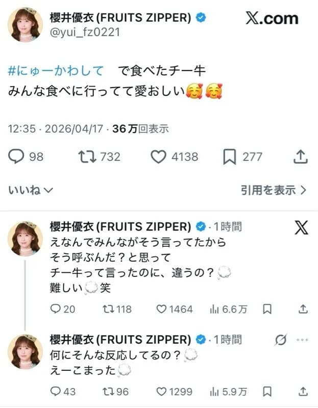 【悲報】フルーツジッパーさん、差別用語を使い炎上