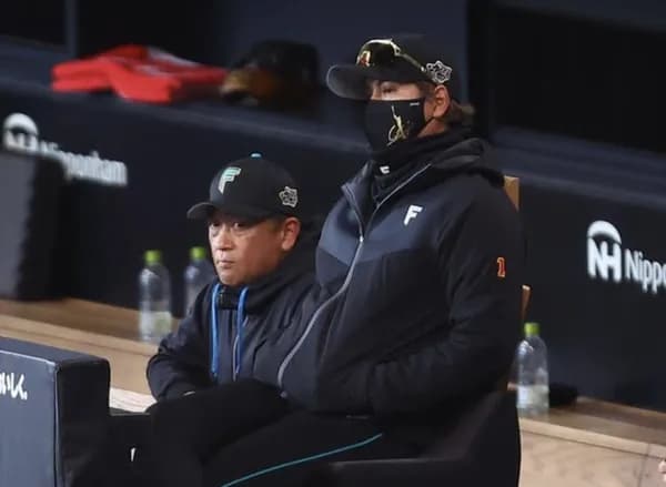 北海道日本ハムファイターズ、もうめちゃくちゃ