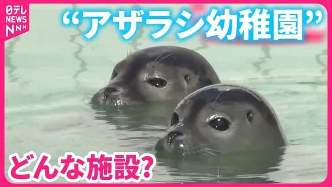 1番「そういえばそんなのあったな」ってもの挙げたやつ優勝