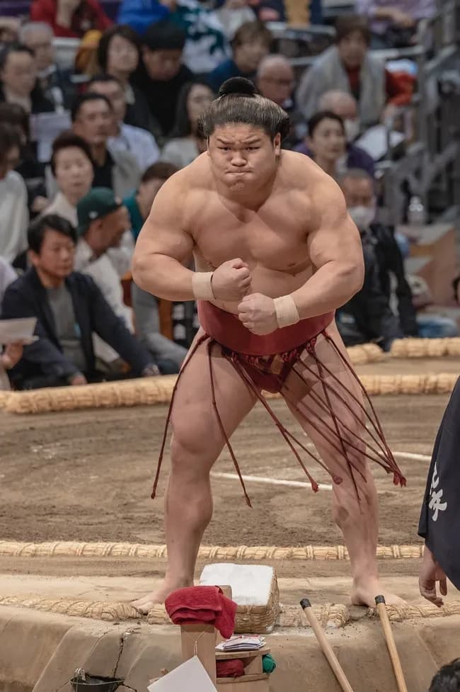 【画像】力士、ムキムキだった