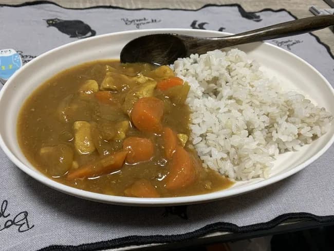 【画像】実家のカレーがこういうタイプだった奴ｗｗｗｗｗｗｗｗｗｗｗｗｗ