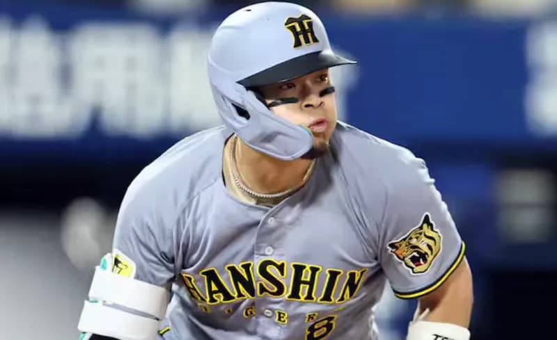 佐藤輝明、31安打の内19本が長打で草