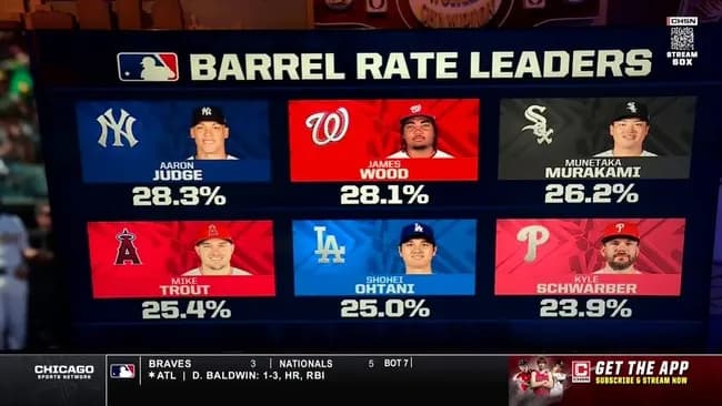 シカホワ村上宗隆、バレル率メジャー全体3位
