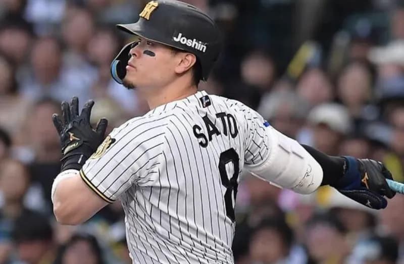 今年の佐藤輝明の最終成績予想→打率.336 26HR くらいか？