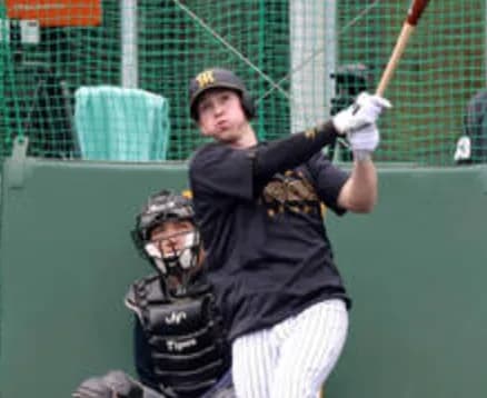 とはいえ今年の阪神の想定外といえばディベイニーと立石の怪我くらいでは？