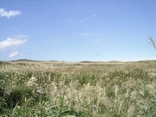 【悲報】陸上自衛隊さん、演習で山火事を起こし焼け出されてきたクマに襲われ隊員が負傷してしまうｗｗｗｗｗｗｗｗｗｗ