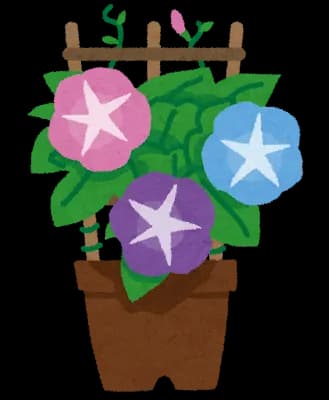 34歳のおっさんやけどアサガオがわっさわさやで