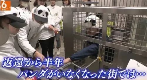 【悲報】パンダが居なくなった動物園さん、画期的な体験ツアーを企画してしまうｗｗｗｗｗｗｗｗｗｗ