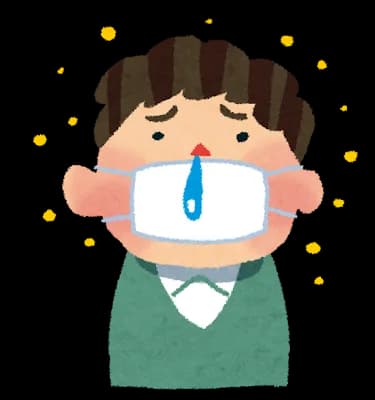 花粉症、アレルギー、アトピーは人権ないですw