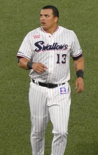 【悲報】オスナさん、またしてもキャッチャーの頭をバットで殴ってしまうｗｗｗｗｗｗｗｗｗｗ