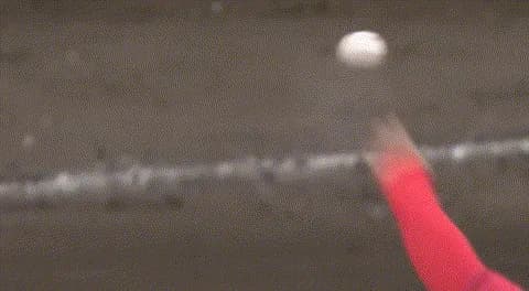 阪神・近本、手首にデッドボールを受け途中交代