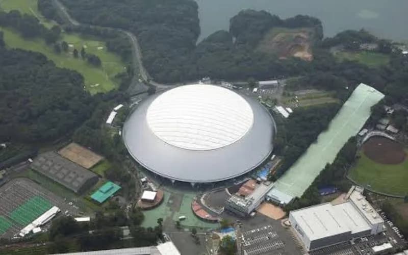 鳩に続いてベルーナドームにネコ侵入ｗｗｗｗ