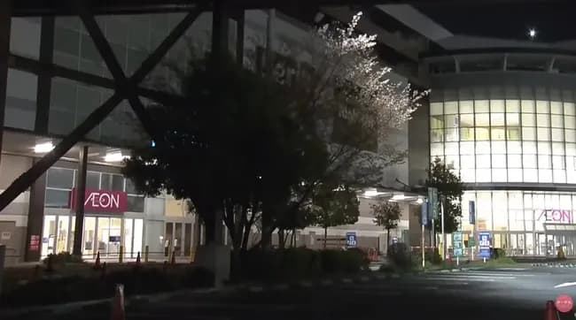 イオンモールナゴヤドーム前でスタンガンやナイフ突きつけ強盗か　14歳中学生と16歳無職の少年を逮捕