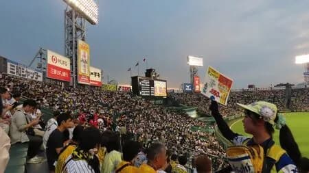 プロ野球でじわり進む「勝ち組」「負け組」の明暗…阪神は全試合完売の一方で動員が伸び悩む球団
