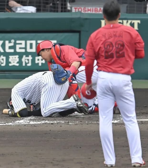 広島・高太一　死球で骨折の阪神・近本に謝罪　「申し訳ないです」関係者を通じて本人に伝える