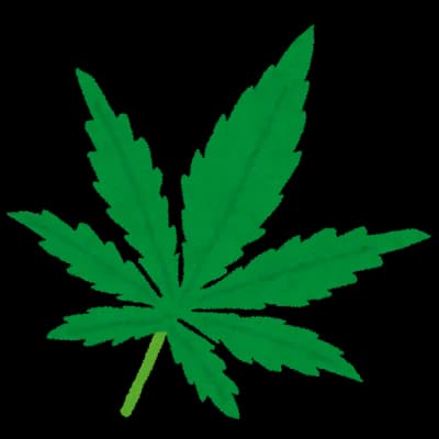 いや、大麻は酒よりも有害性が低いと科学的に確定したんだから合法にしろよクズ、国民の薬物を使用する権利を侵害するなよ
