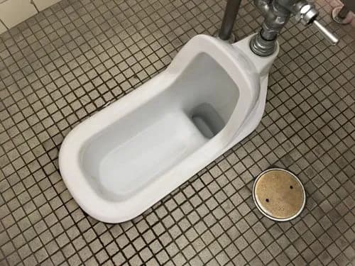 【悲報】今の高校生さん、和式でうんこが出来ずに洋式トイレに大行列を作ってしまうｗｗｗｗｗｗｗｗｗｗ