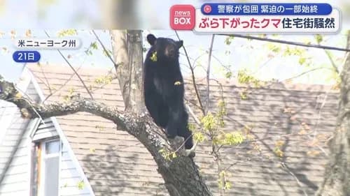 【悲報】警察さん、ハンマーおぢの自宅を4時間ガチ包囲した結果ｗｗｗｗｗｗｗｗｗｗ