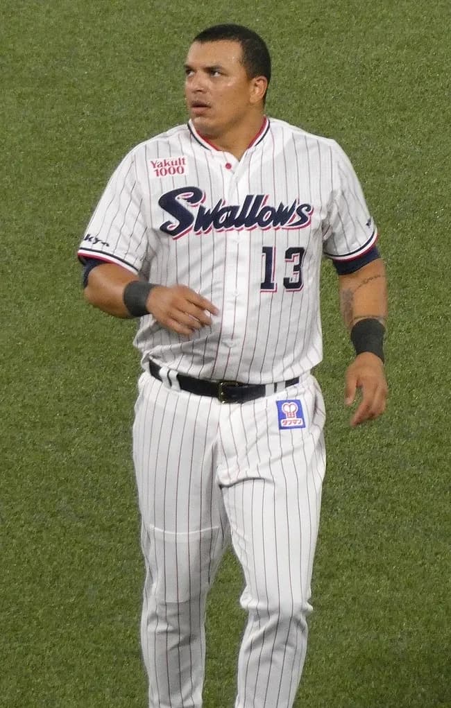 ホセ・オスナ(28) 120試合 .258(469-121) 13本 60打点 出塁率.293 OPS.694 wRC+88 WAR-0.9