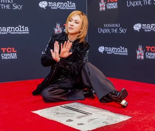 【悲報】カーセンサーさん、X JAPANの「紅」をCMに使うもボーカルのToshlだけハブってしまうｗｗｗｗｗｗｗｗｗｗ