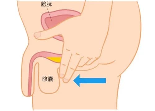 【悲報】小便終えてパンツの中に引っ込めたら途端に再排出が始まる奴ｗｗｗｗｗｗｗｗｗｗ