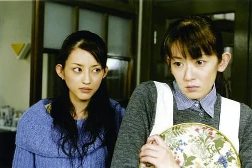 【悲報】大河内奈々子さん、2度目の離婚を初告白「子供は産まないと約束したのに…」・・・・・・・・・