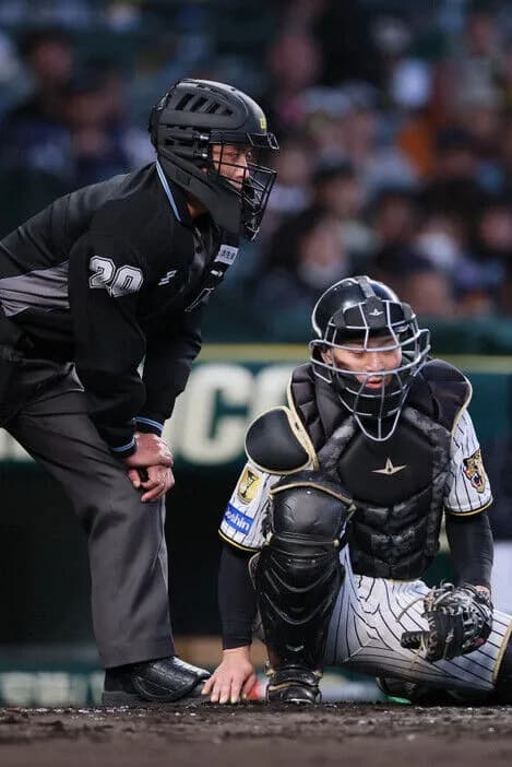 NPB、危険スイングに「退場」検討