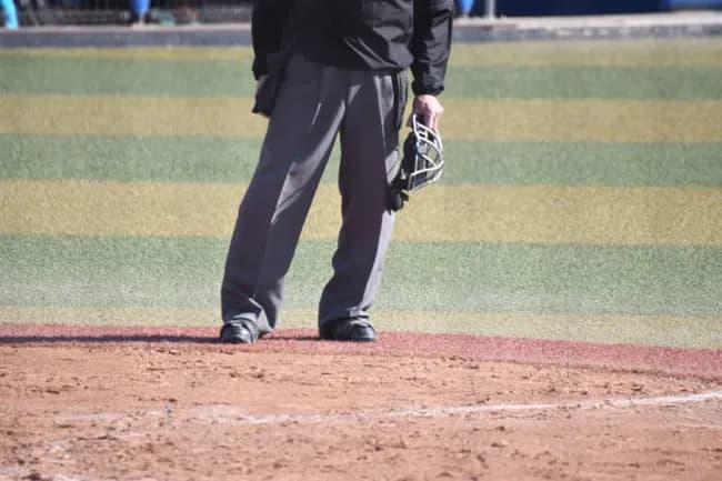 プロ野球選手会が「ロボット審判（ABS）」導入へ前向き　「判定の精度向上」の思いは分かるが…「審判への敬意はあるのか？」
