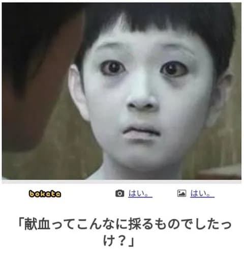 【朗報】「bokete」の最高傑作、ガチのマジで決まるwww