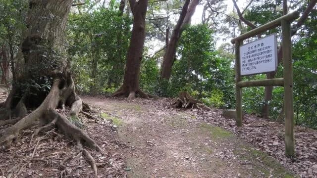 金ヶ崎の退き口という、信長・秀吉・家康・光秀まとめてピンチだった戦い
