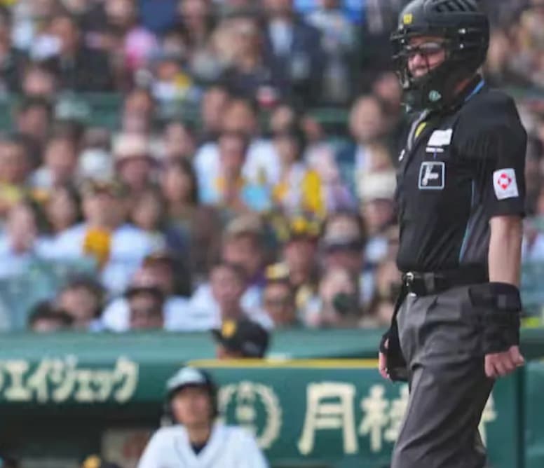 最近の阪神の三振数、エグいことになる
