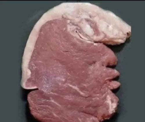 【画像】右脳派ならゾウに見え、左脳派ならハムスターに見える豚肉が見つかるｗｗｗｗｗｗｗｗｗｗ