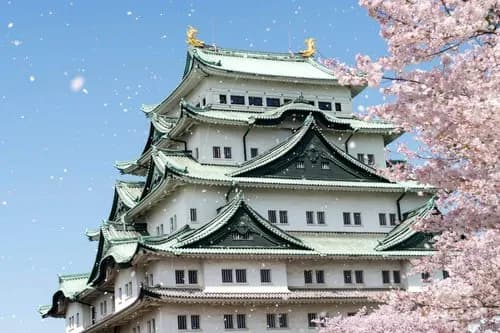 【悲報】名古屋市さん「1位の植物園、2位の水族館、3位の動物園があります」←なお観光弱いｗｗｗｗｗｗｗｗｗｗ