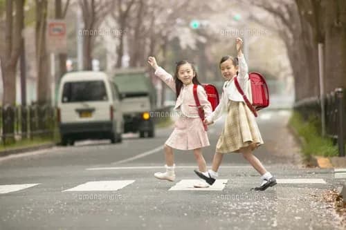 【悲報】交通ルール「右、左、右」←間違っていたことが判明ｗｗｗｗｗｗｗｗｗｗ